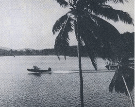 赤道直下の九七式大艇と椰子の木