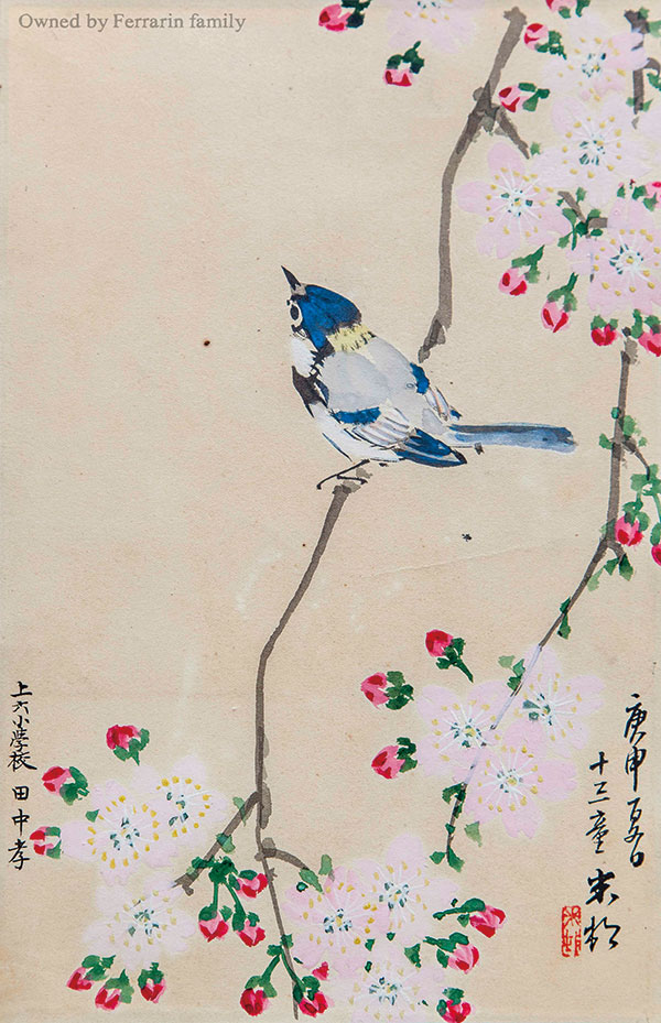 図13　田中孝（田中一村）の花鳥画