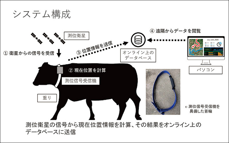 図15 放牧牛の位置や運動の把握のためのシステム