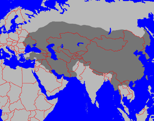 最盛期のモンゴル帝国範図<br>（黒い部分が直接支配地域でその外側にも服従する地域が多数あった）